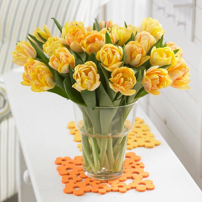 Tulip, Double Early, 'foxy Foxtrot', White, Yellow, Orange Mix - View 18 from www redcrocus com