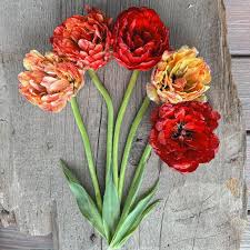 RedCrocus Double Early Tulip 'Double Godushnik' Orange-Beautiful Blooms 100 in Box