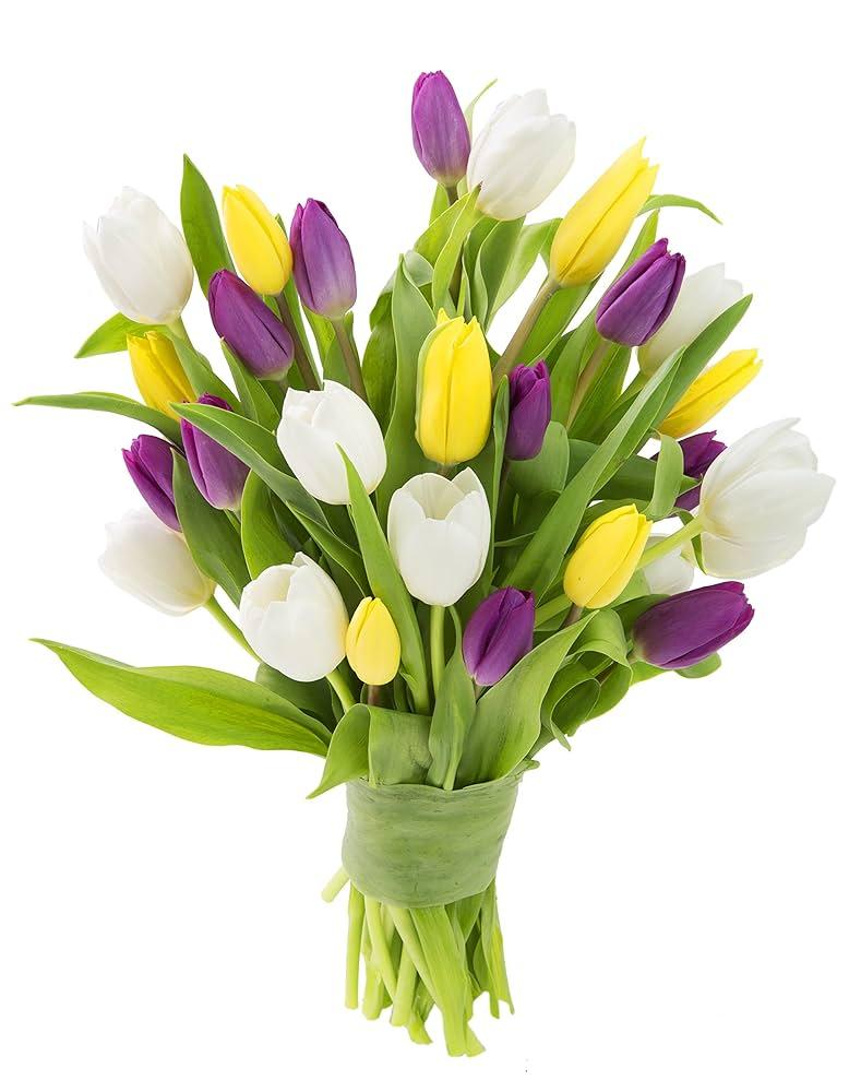 Tulip, All Season Barn Mix, Assorted - View 16 from www redcrocus com