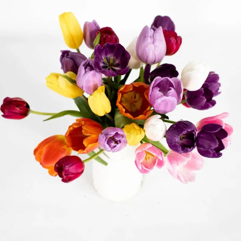 Tulip, All Season Barn Mix, Assorted - View 20 from www redcrocus com