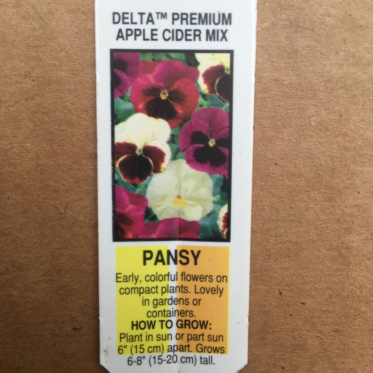 Pansy Delta Classic Apple Cider Mix - View 4 from www redcrocus com