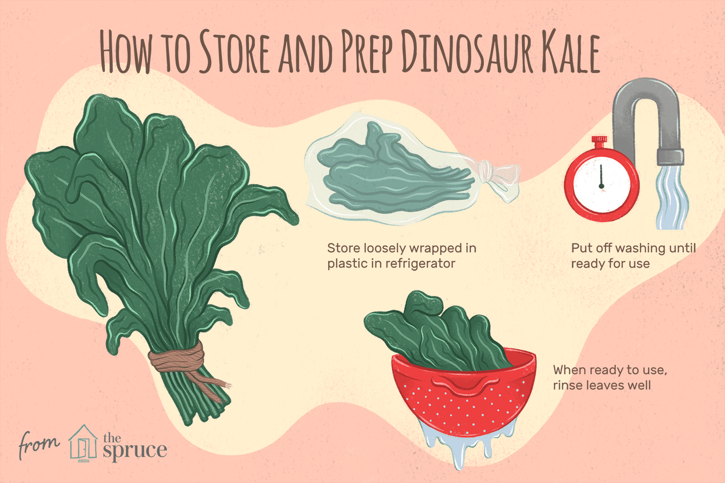 Kale Dinosaur - View 15 from www redcrocus com