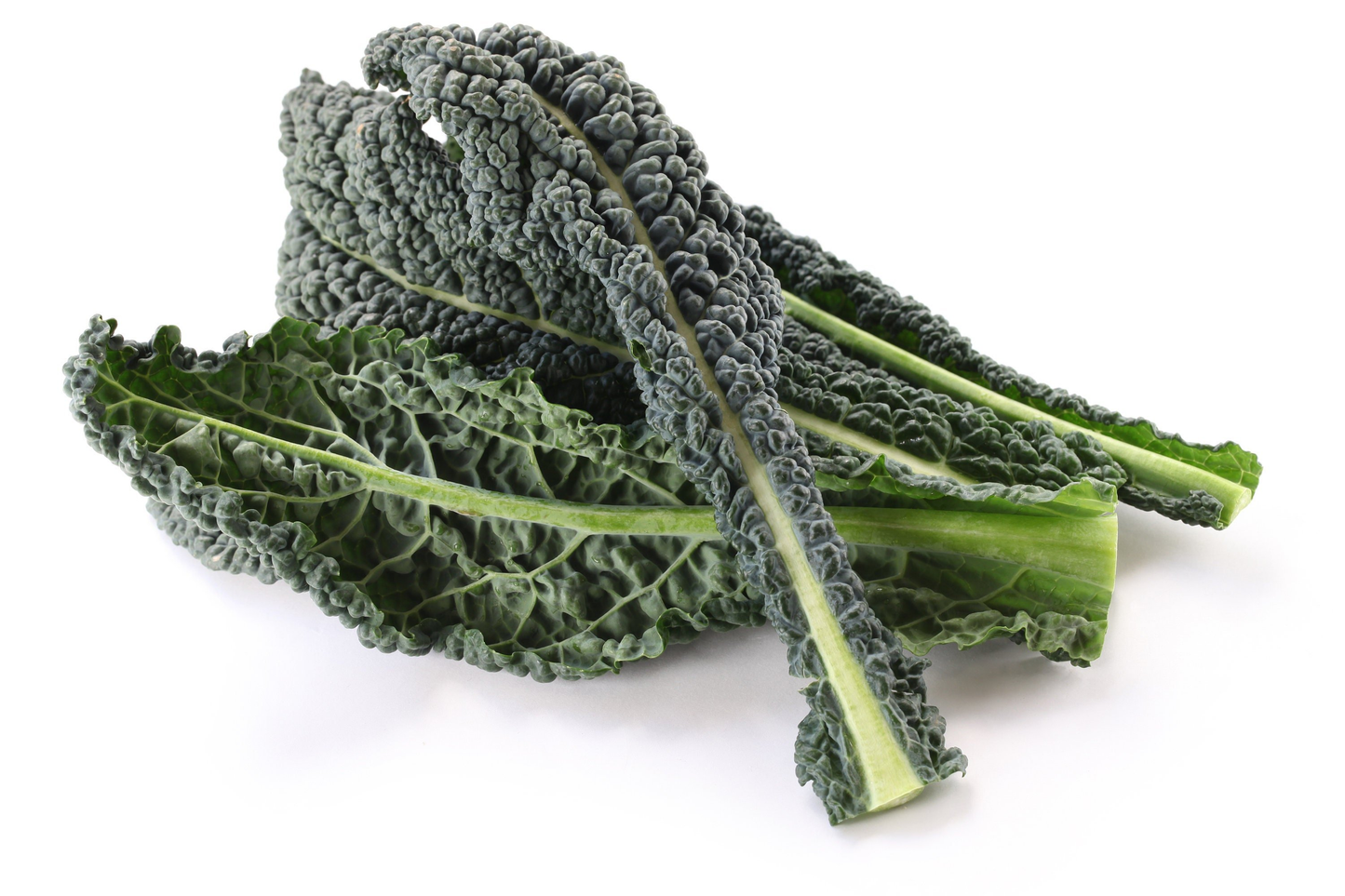 Kale Dinosaur - View 17 from www redcrocus com