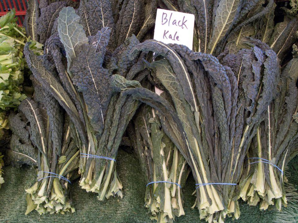 Kale Dinosaur - View 18 from www redcrocus com