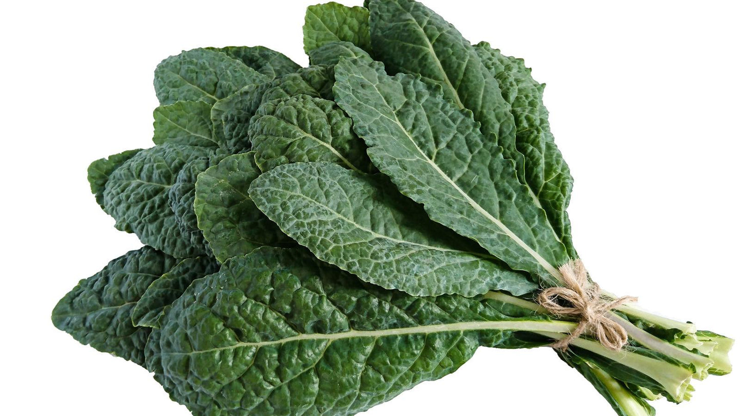 Kale Dinosaur - View 4 from www redcrocus com
