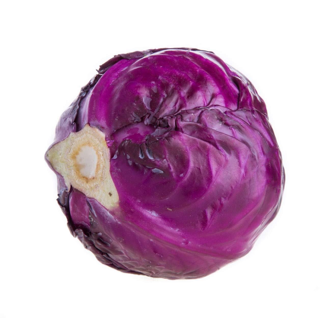 Cabbage 'pigeon Purple' - View 9 from www redcrocus com