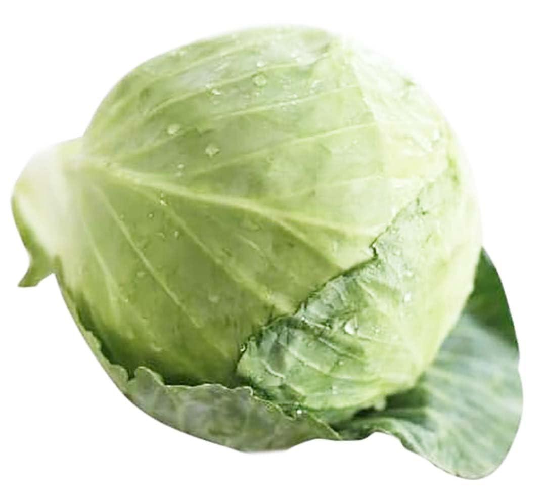 Cabbage 'pigeon Victoria' - View 6 from www redcrocus com
