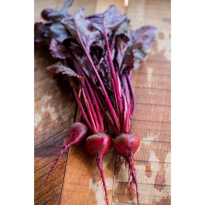 Beet 'bull's Blood' - View 13 from www redcrocus com