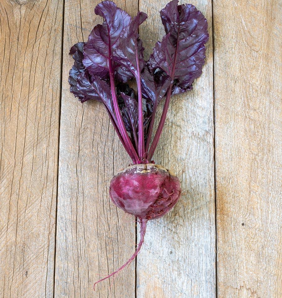 Beet 'bull's Blood' - View 17 from www redcrocus com