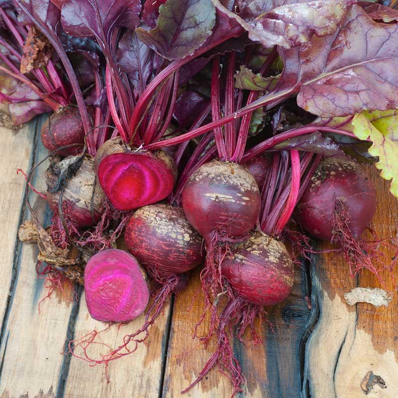 Beet 'bull's Blood' - View 20 from www redcrocus com