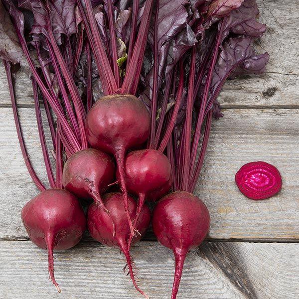 Beet 'bull's Blood' - View 6 from www redcrocus com