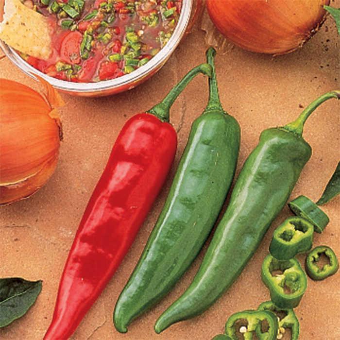 Pepper, Ornamental 'salsa Red' - View 9 from www redcrocus com