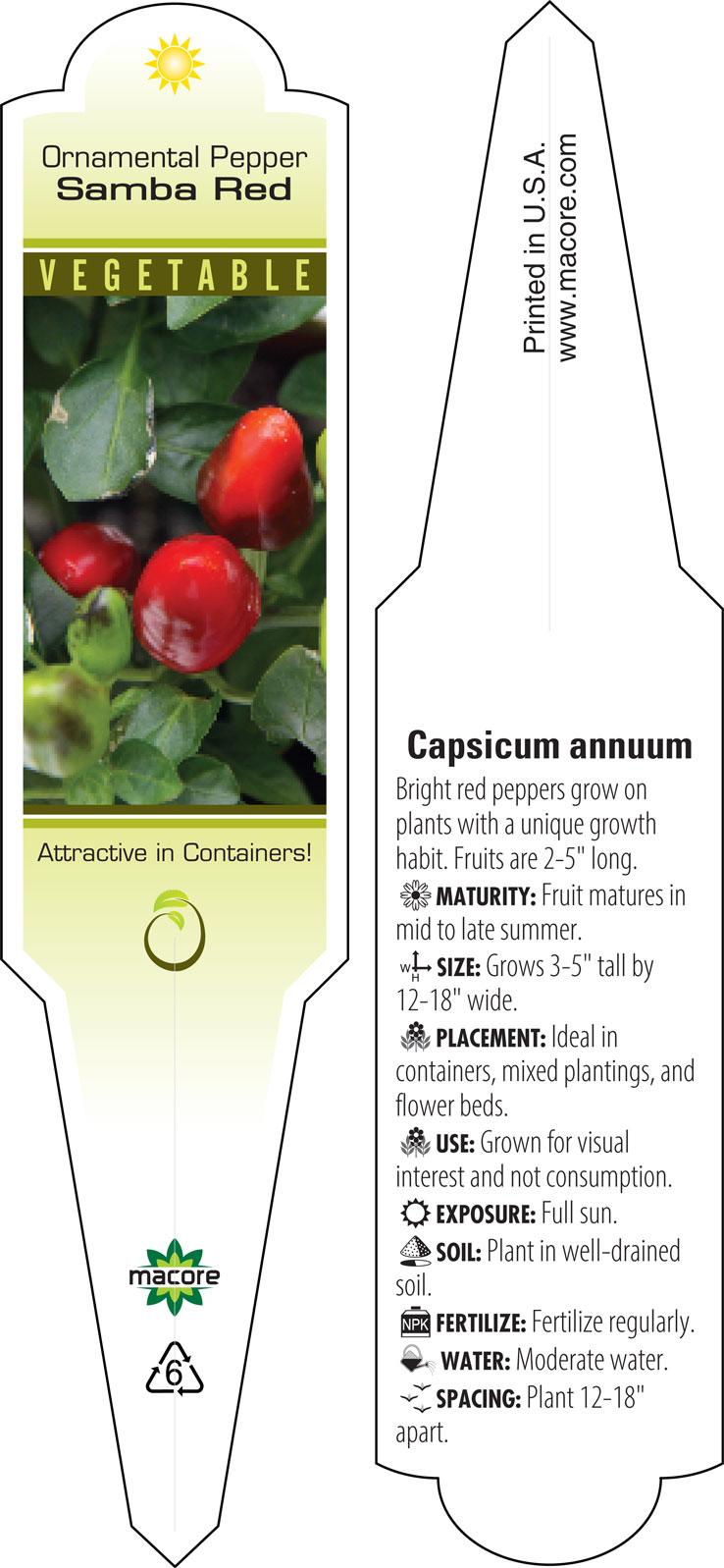 Pepper, Ornamental 'samba Red' - View 28 from www redcrocus com