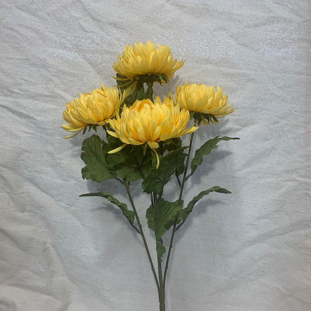 300 Mum Yel Dawn Yellow - View 6 from www redcrocus com
