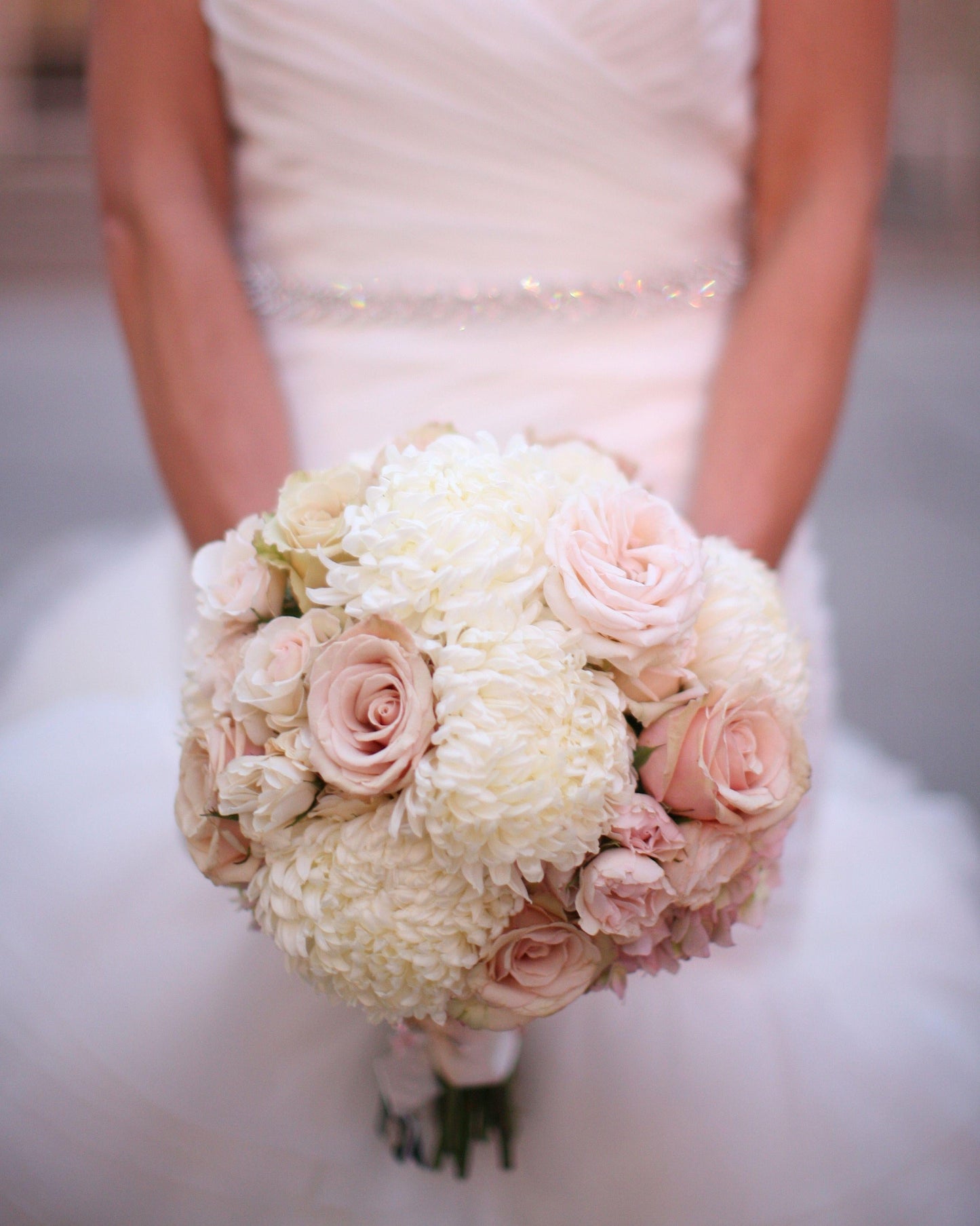 444 Mum White Bridal White - View 5 from www redcrocus com