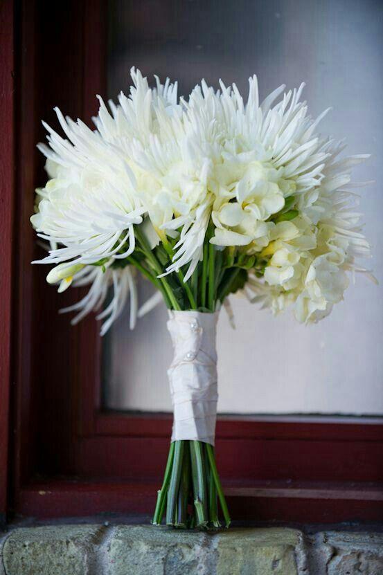 444 Mum White Bridal White - View 7 from www redcrocus com