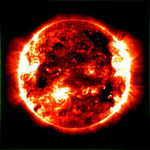 574 Mum Red Cosmic Fireball Red - View 10 from www redcrocus com