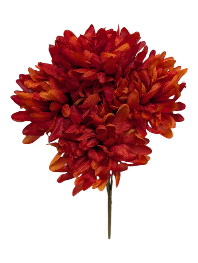 513 Mum, Orange Fonti Orange - View 12 from www redcrocus com