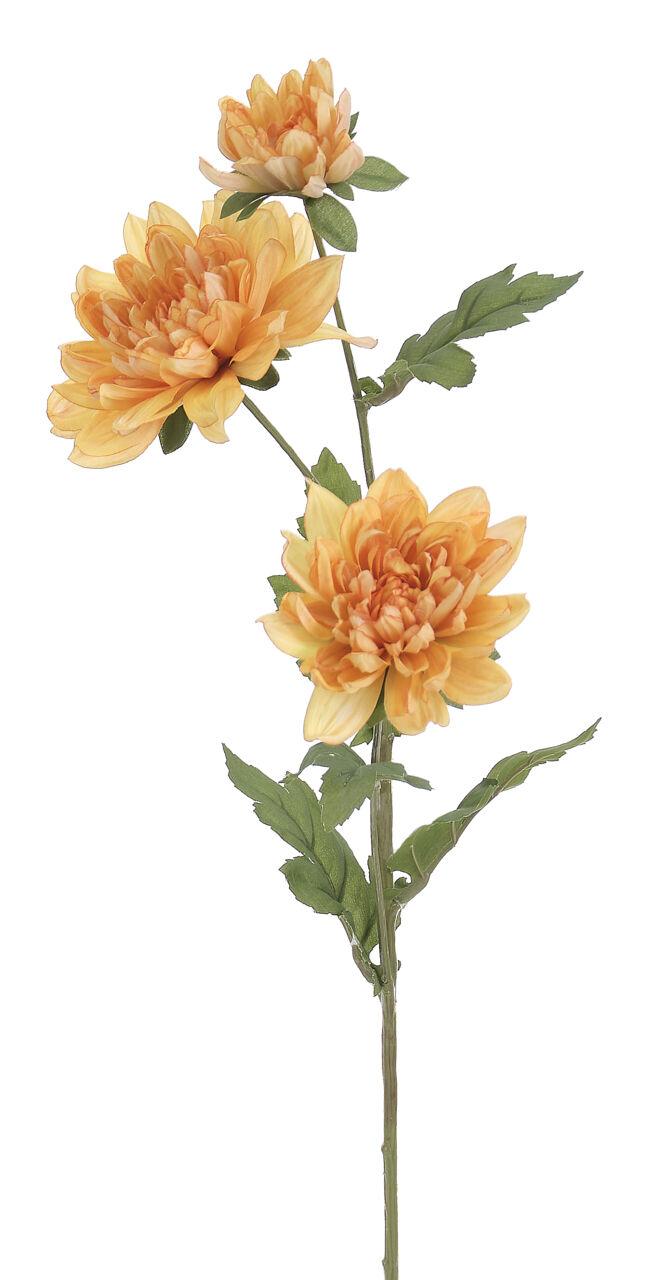 487 Mum Yellow Gold Riot Yellow - View 14 from www redcrocus com