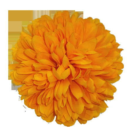 487 Mum Yellow Gold Riot Yellow - View 15 from www redcrocus com