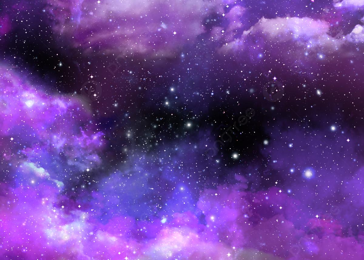 557 Mum Purple Cosmic Galaxy Purple - View 17 from www redcrocus com