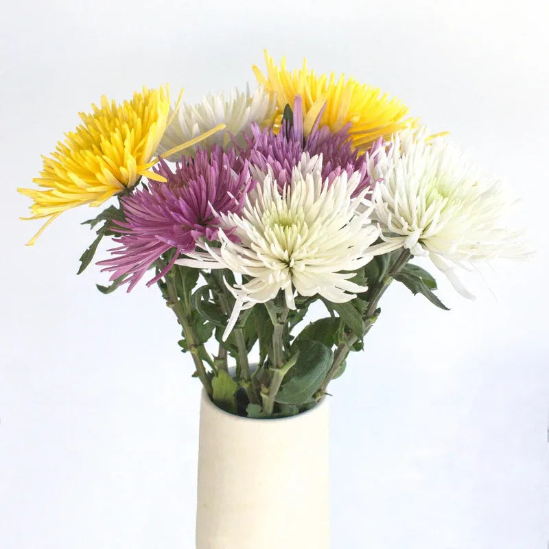 Mum, Assorted - View 6 from www redcrocus com