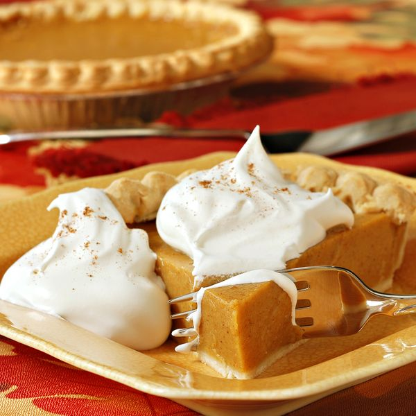 Mum Orange Pumpkin Pie Orange - View 11 from www redcrocus com
