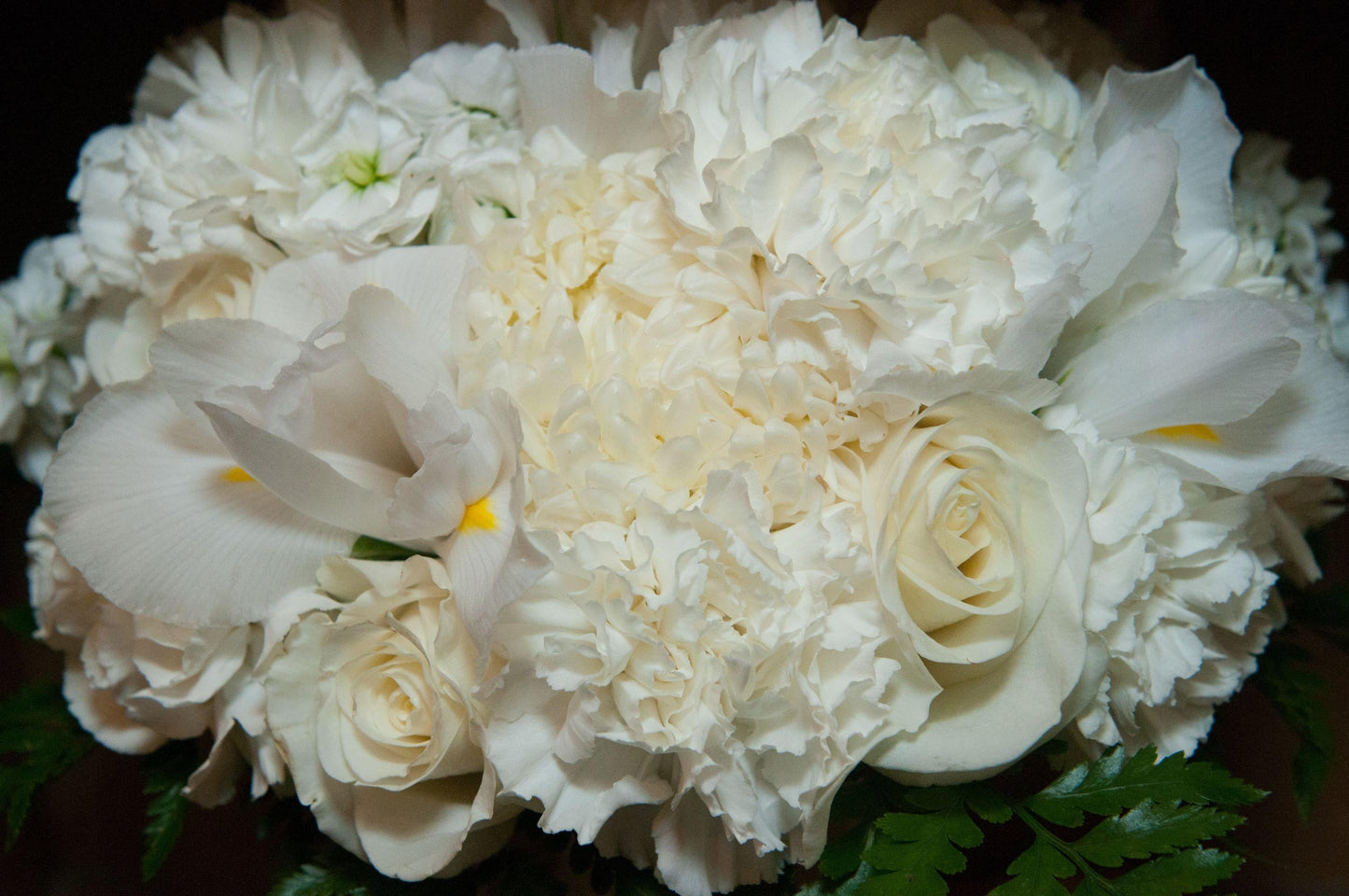 Mum White Bridal White - View 6 from www redcrocus com