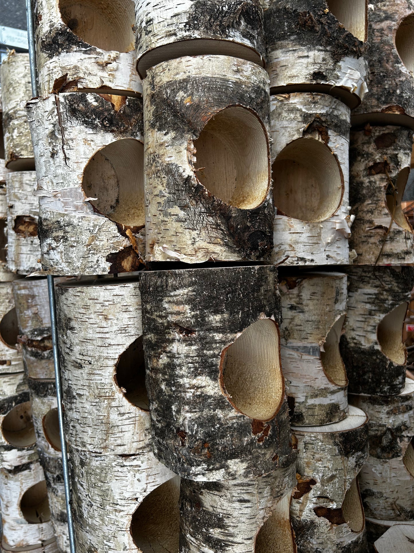 Birch Log, Empty, 1 Hole Horizontal Each