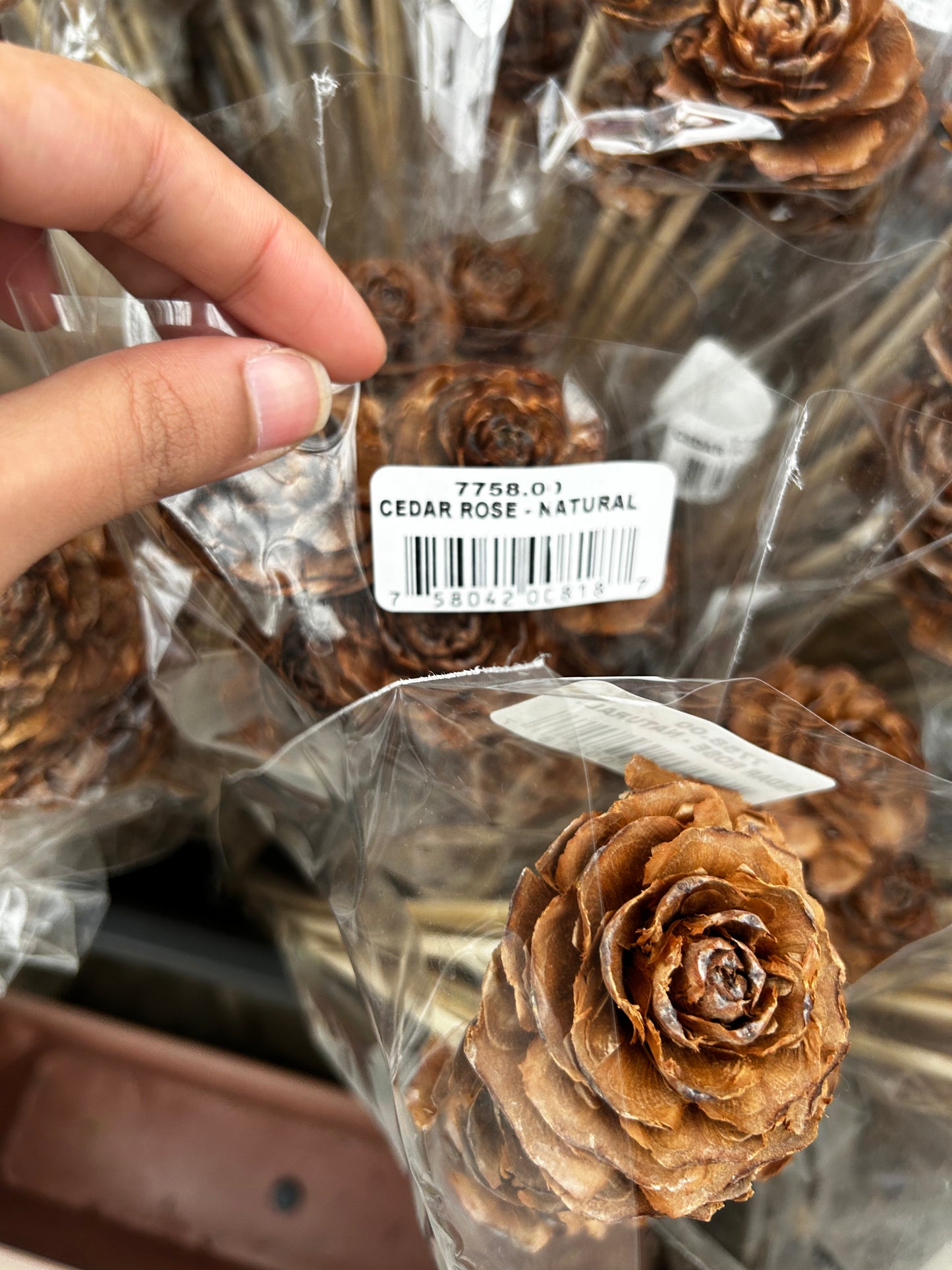 Accents, Cedar Rose Natural Each