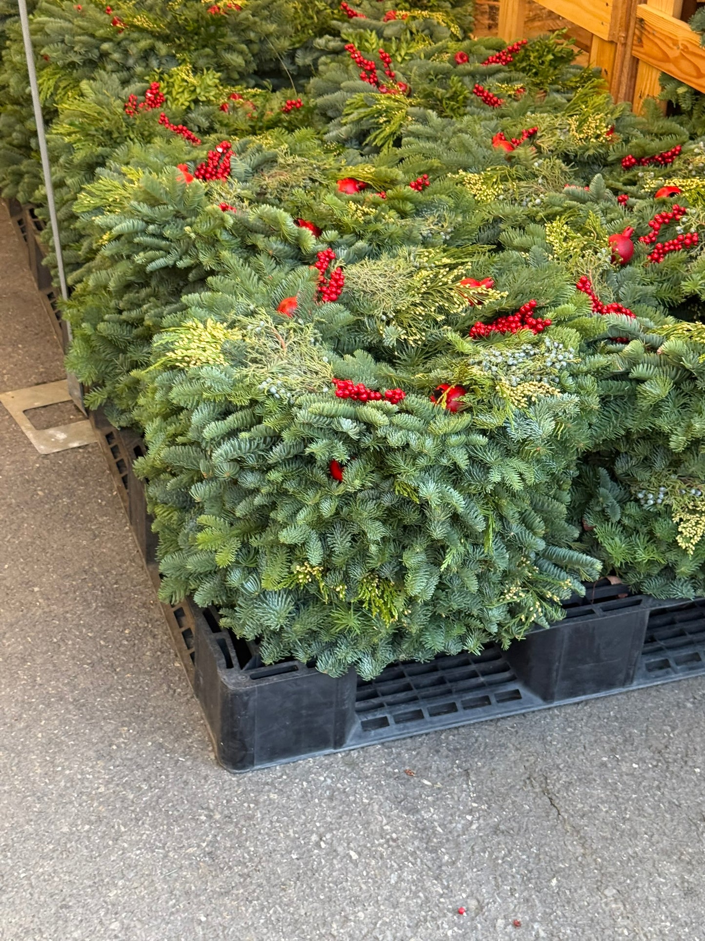 Wreath, Pomegranate, 12"/ 24" OD Pack of 4