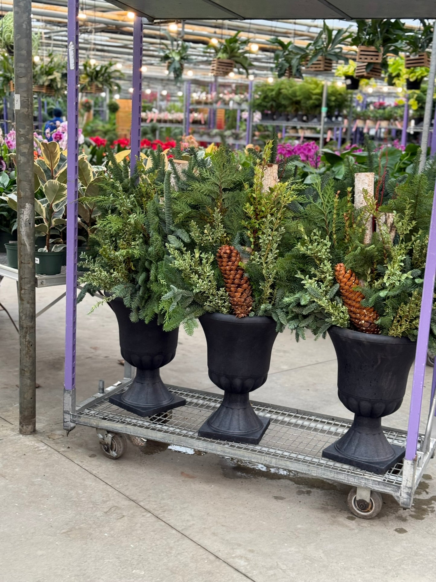 Planter, Estate Urn Each