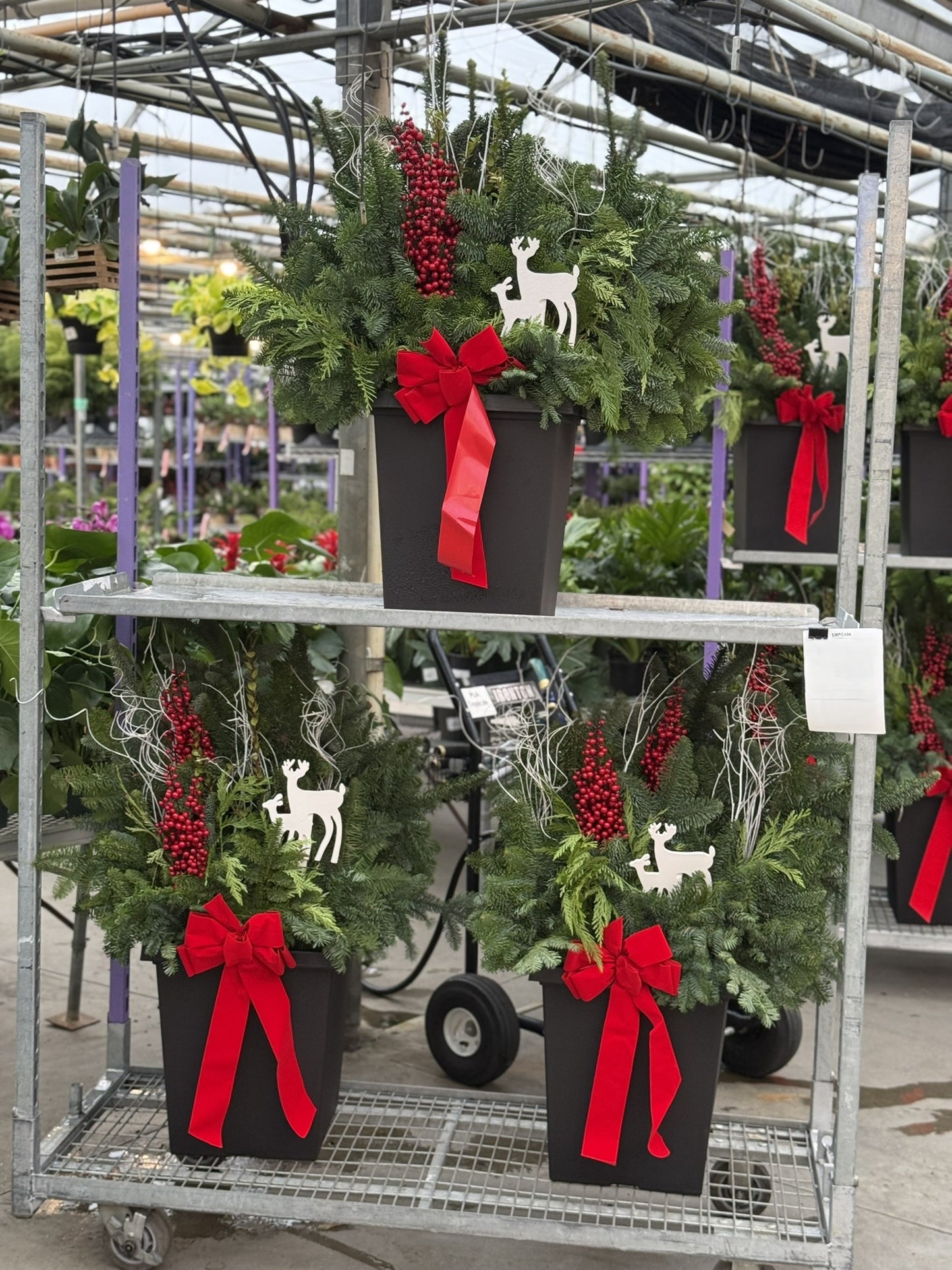 Planter, 14" Tall Tuscany Square, Black Each