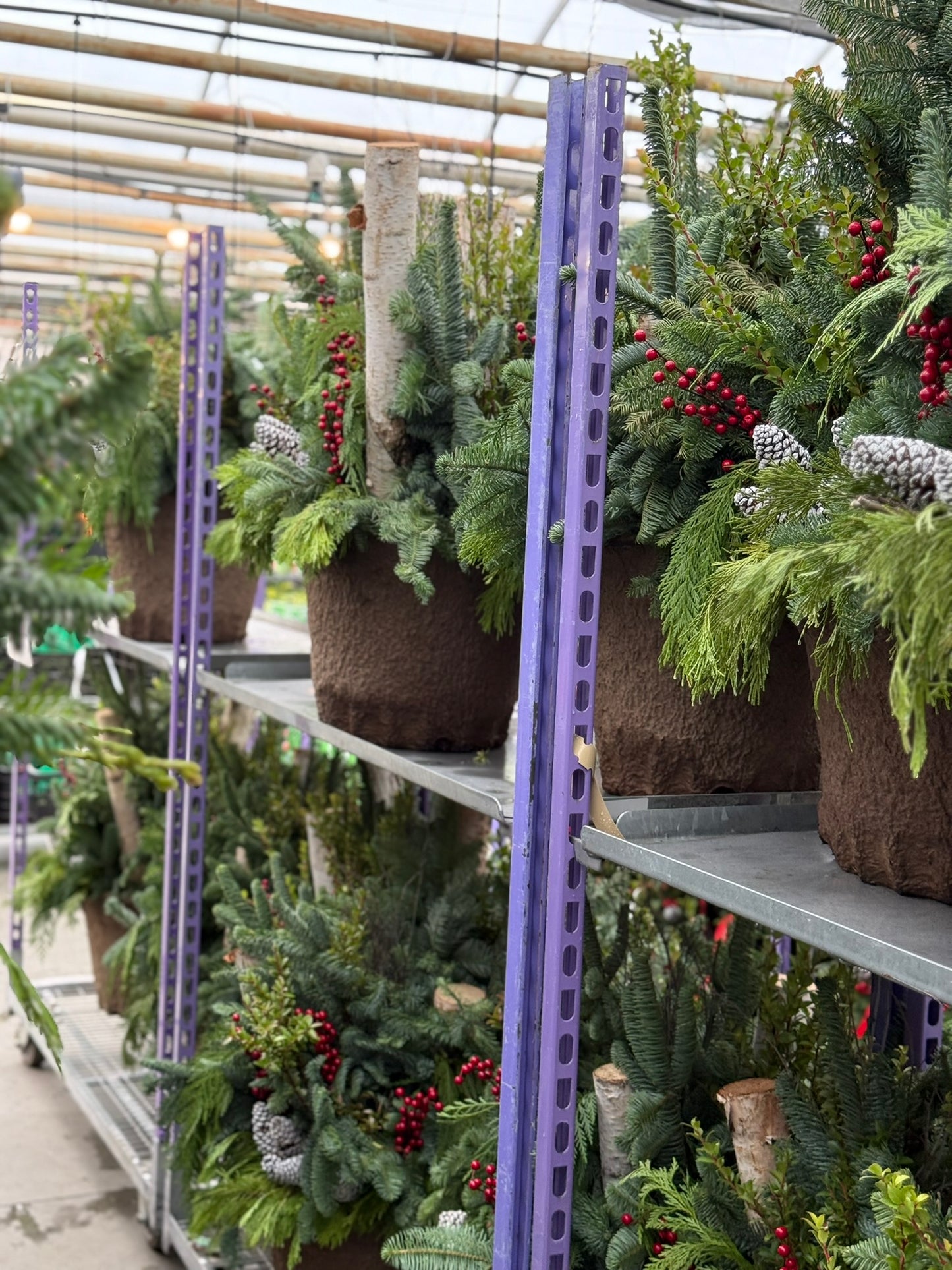 Planter, Fiber Drop in Holiday, Large Planter (Each)