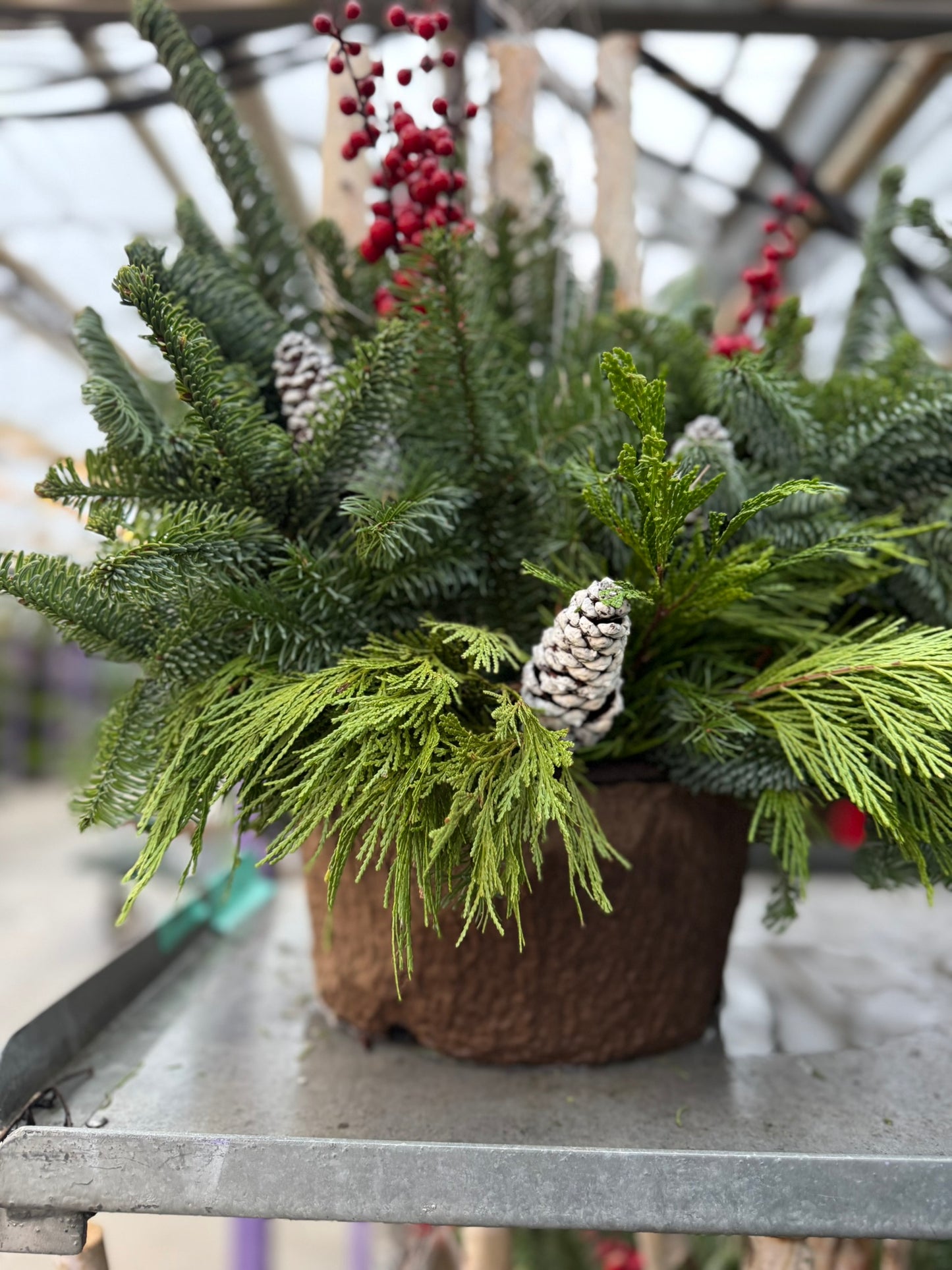 Planter, Fiber Drop in Holiday, Small Planter (Each)