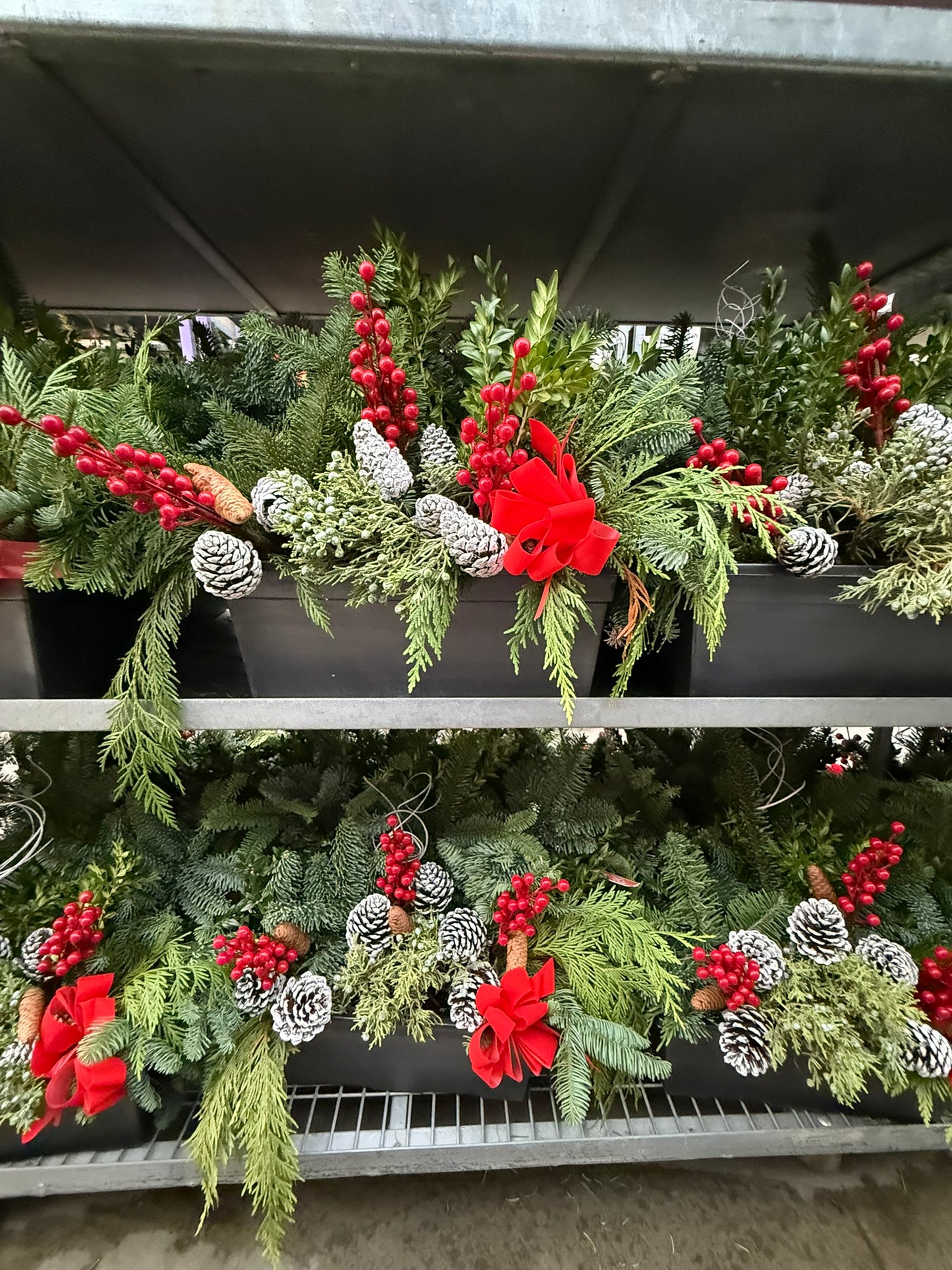 Planter, 15" Leonardo Window Box Window Box (Each)