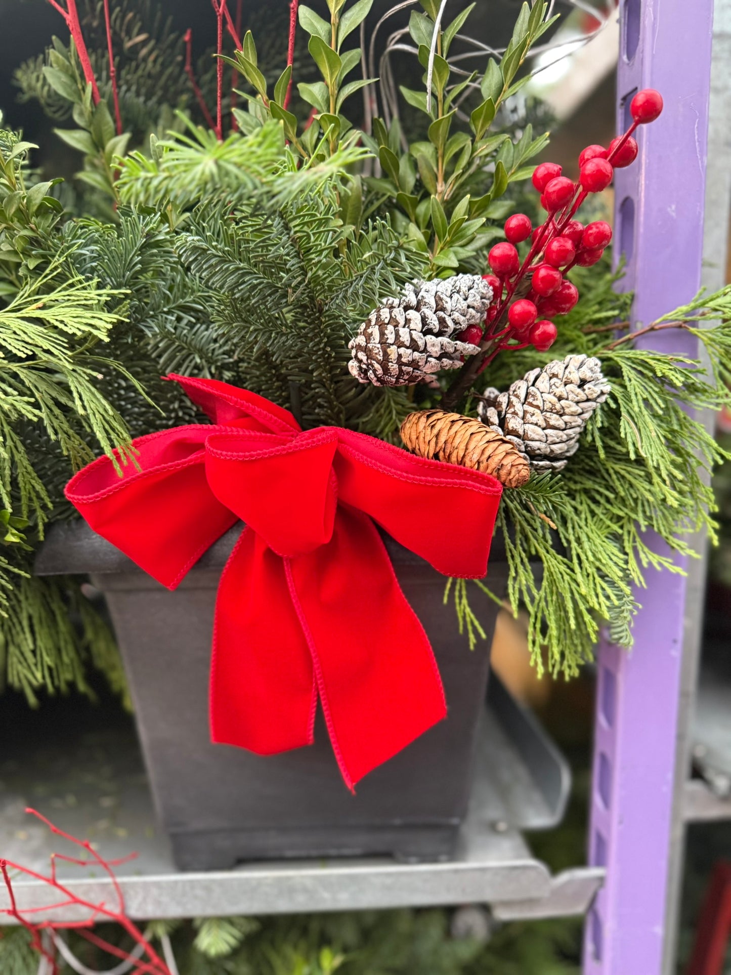 Planter, 10.25" Leonardo Square, Aged Pewter Planter (Each)