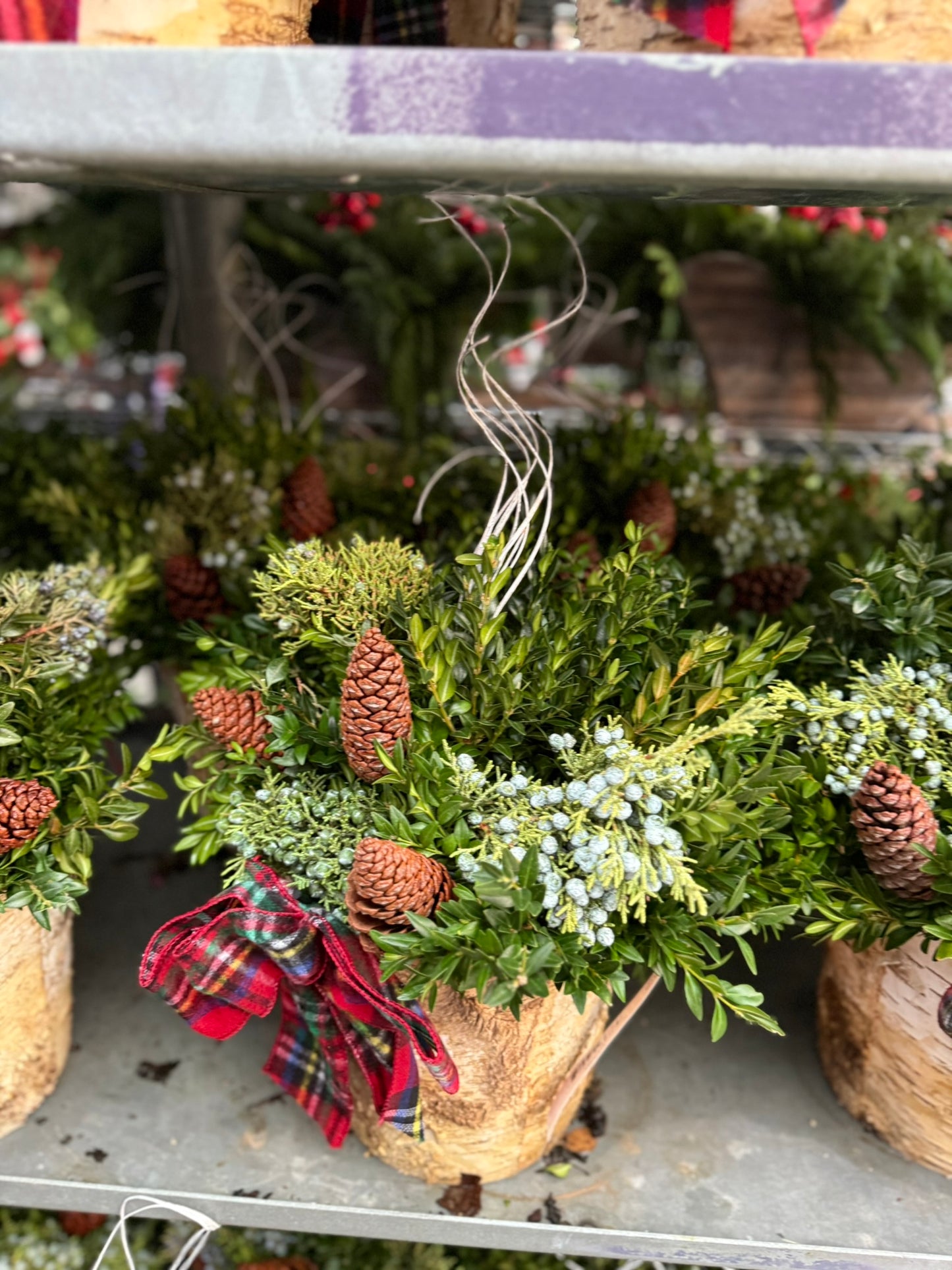 Planter, 8" Birch Accent Planter (Each)