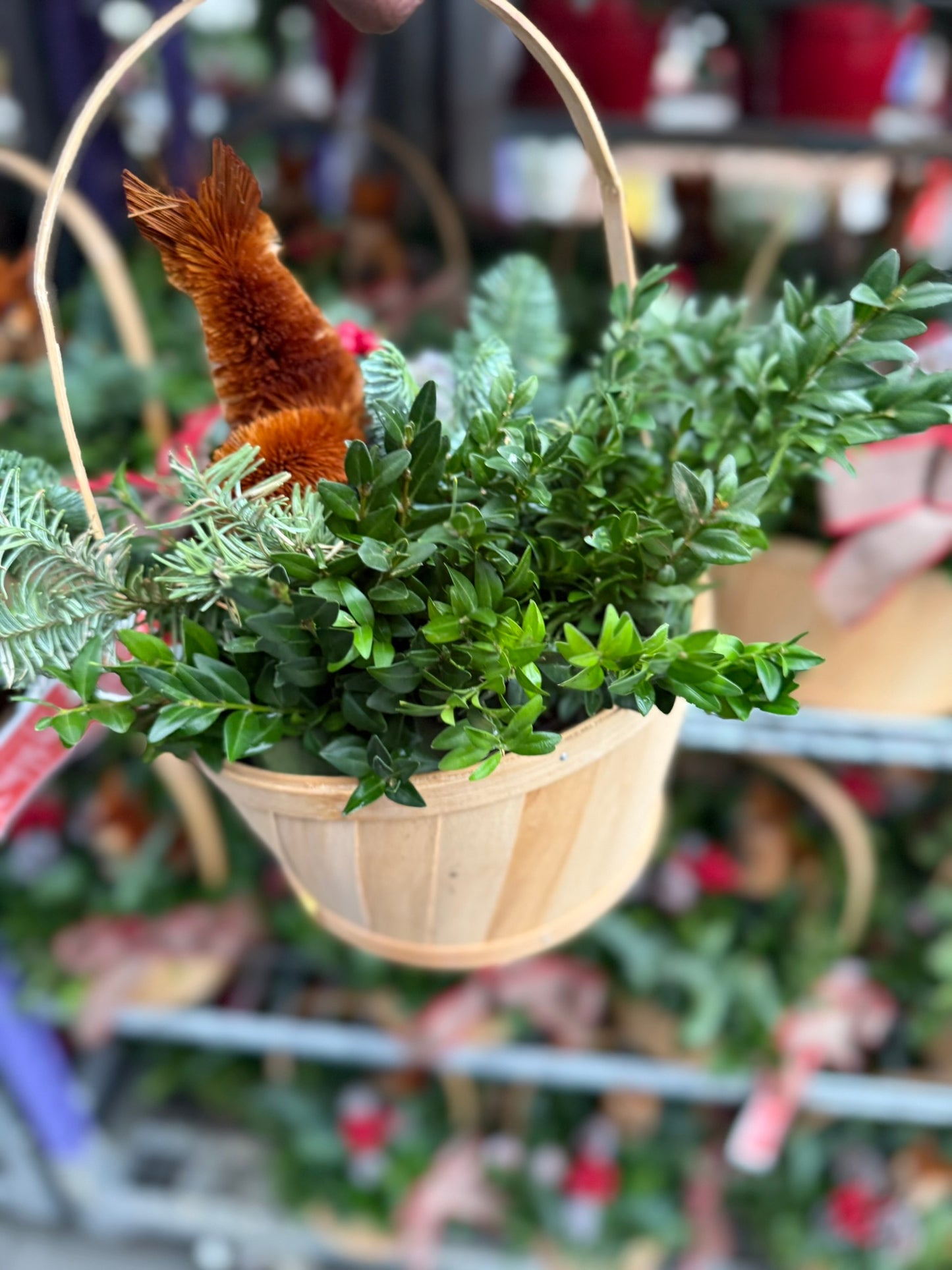 Planter, 7" Woodland Fox, Light Basket with Handle Basket (Each)