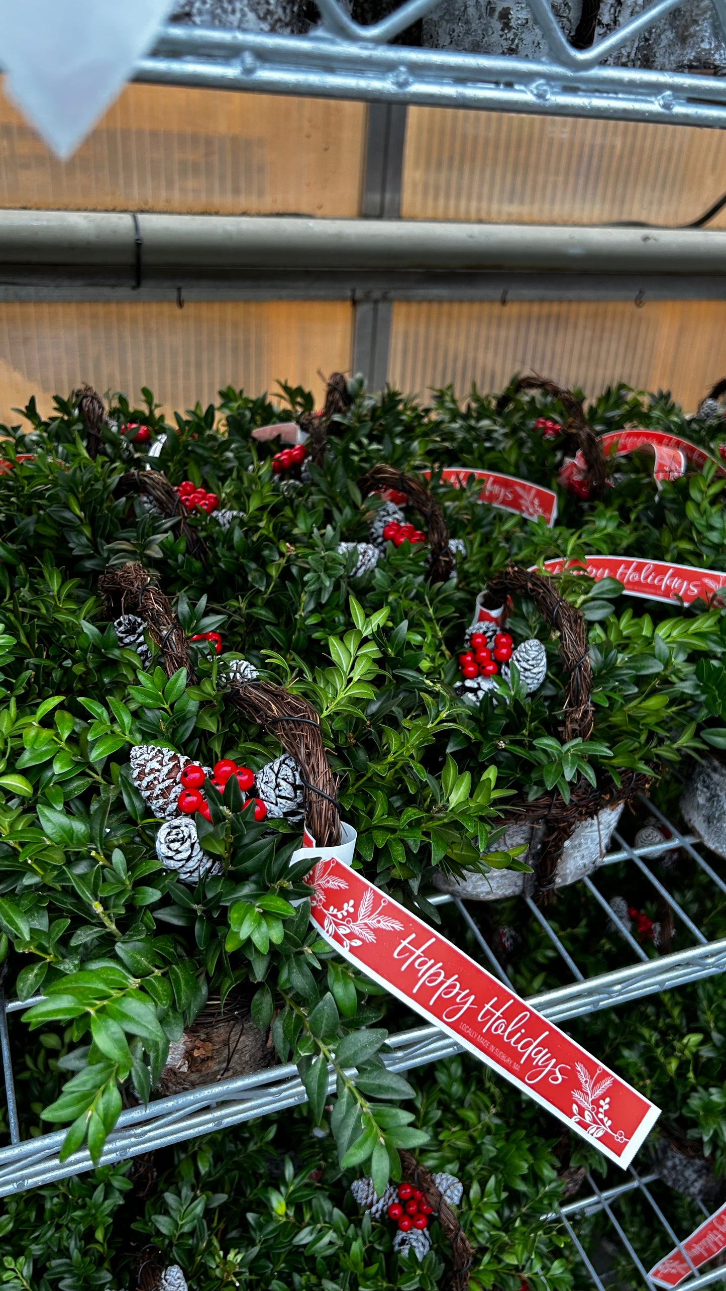 Planter, 4" Birch Basket Basket (Each)