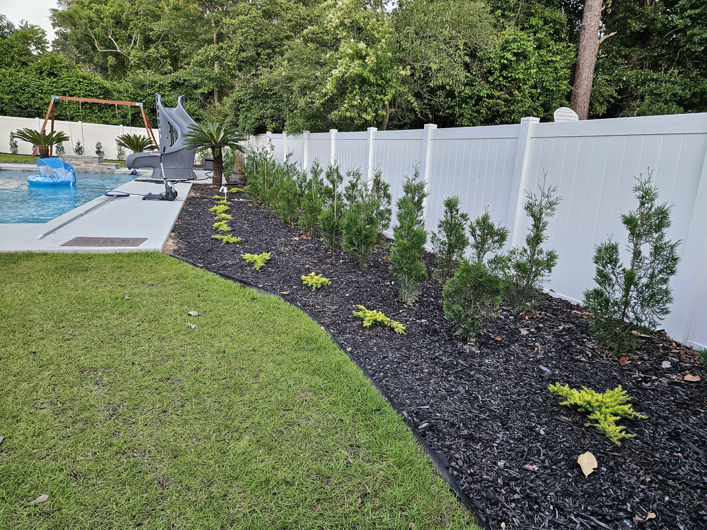 Juniperus Conferta 'golden Pacific' - View 29 from www redcrocus com