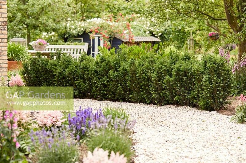 Taxus Media 'rising Star' - View 17 from www redcrocus com