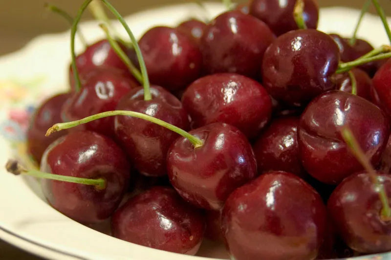 Prunus Avium Bing Sweet Cherry - View 9 from www redcrocus com
