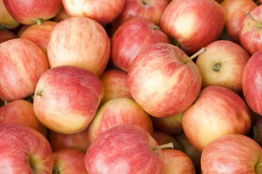 Malus Domestica Fuji - View 11 from www redcrocus com