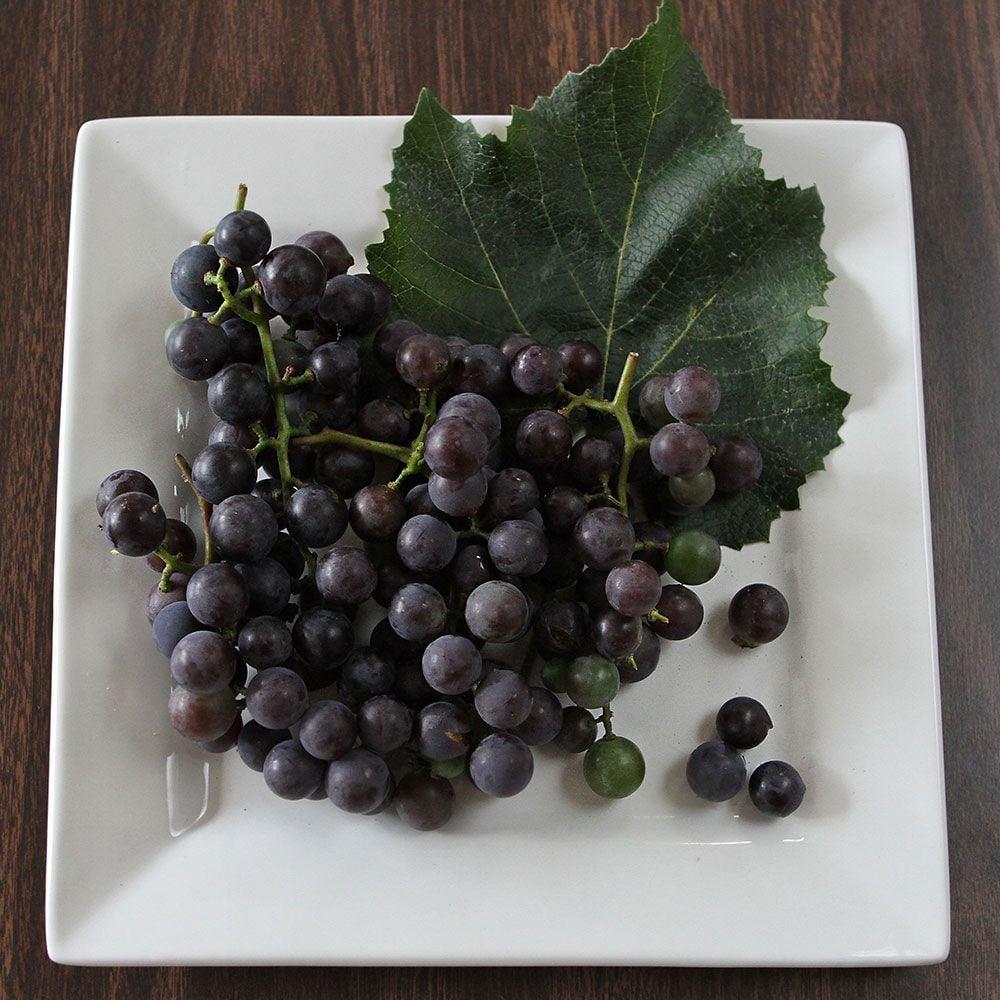 Vitis Labrusca 'concord Grape' - View 9 from www redcrocus com
