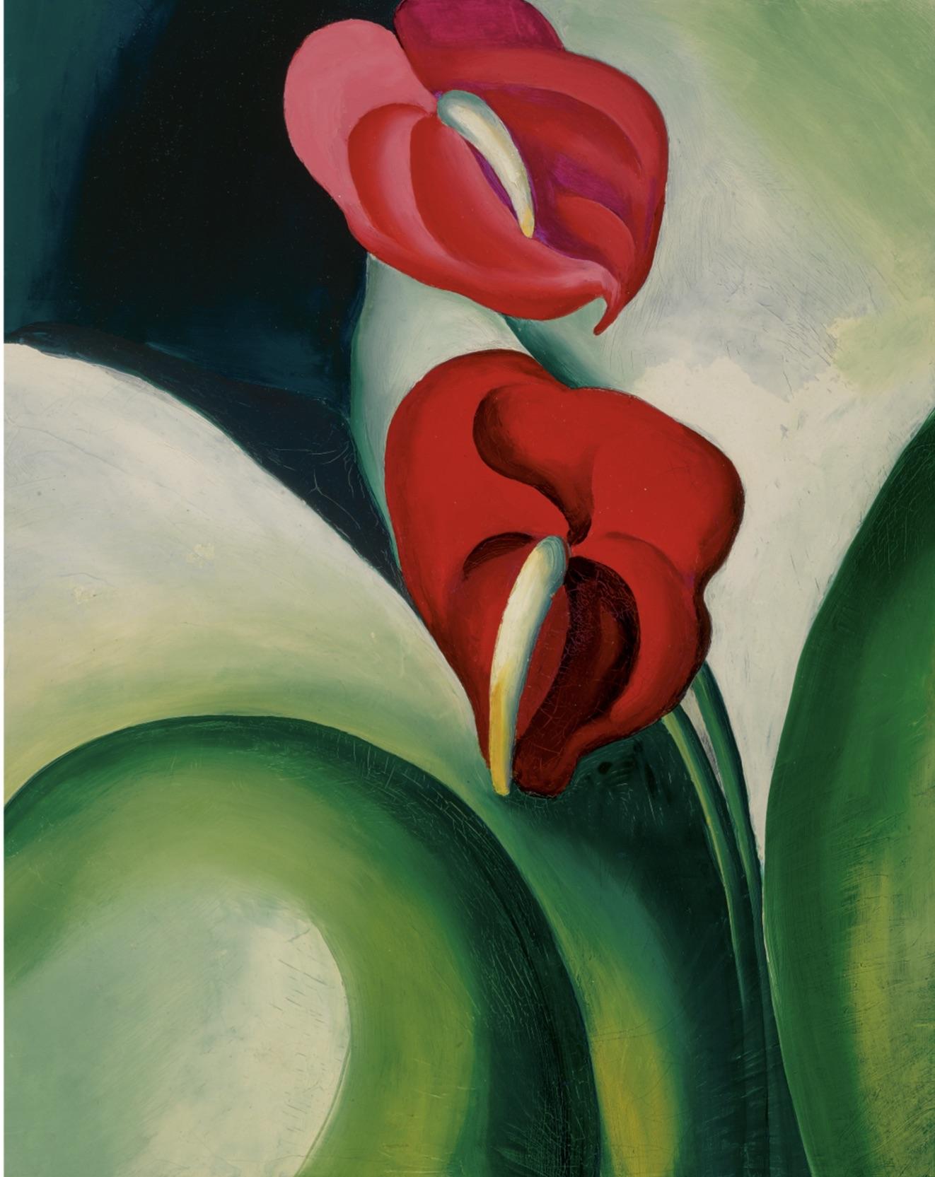 Anthurium 'famous Leon' - View 6 from www redcrocus com