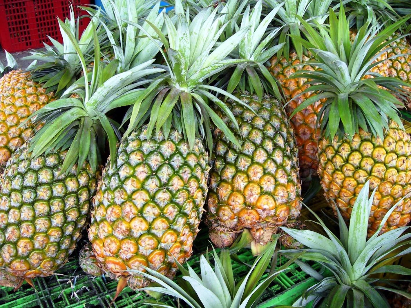 Pineapple - View 19 from www redcrocus com
