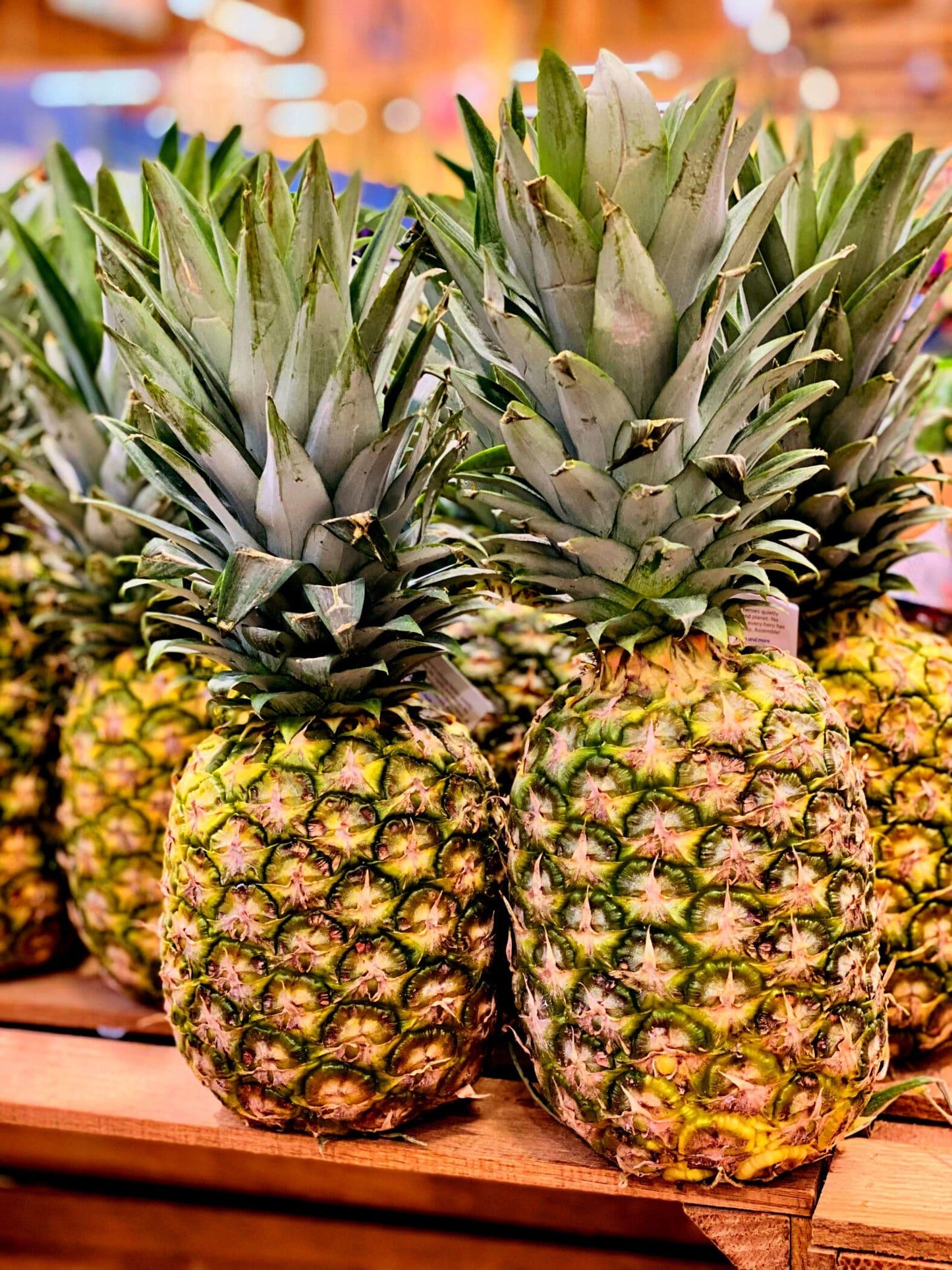 Pineapple - View 3 from www redcrocus com