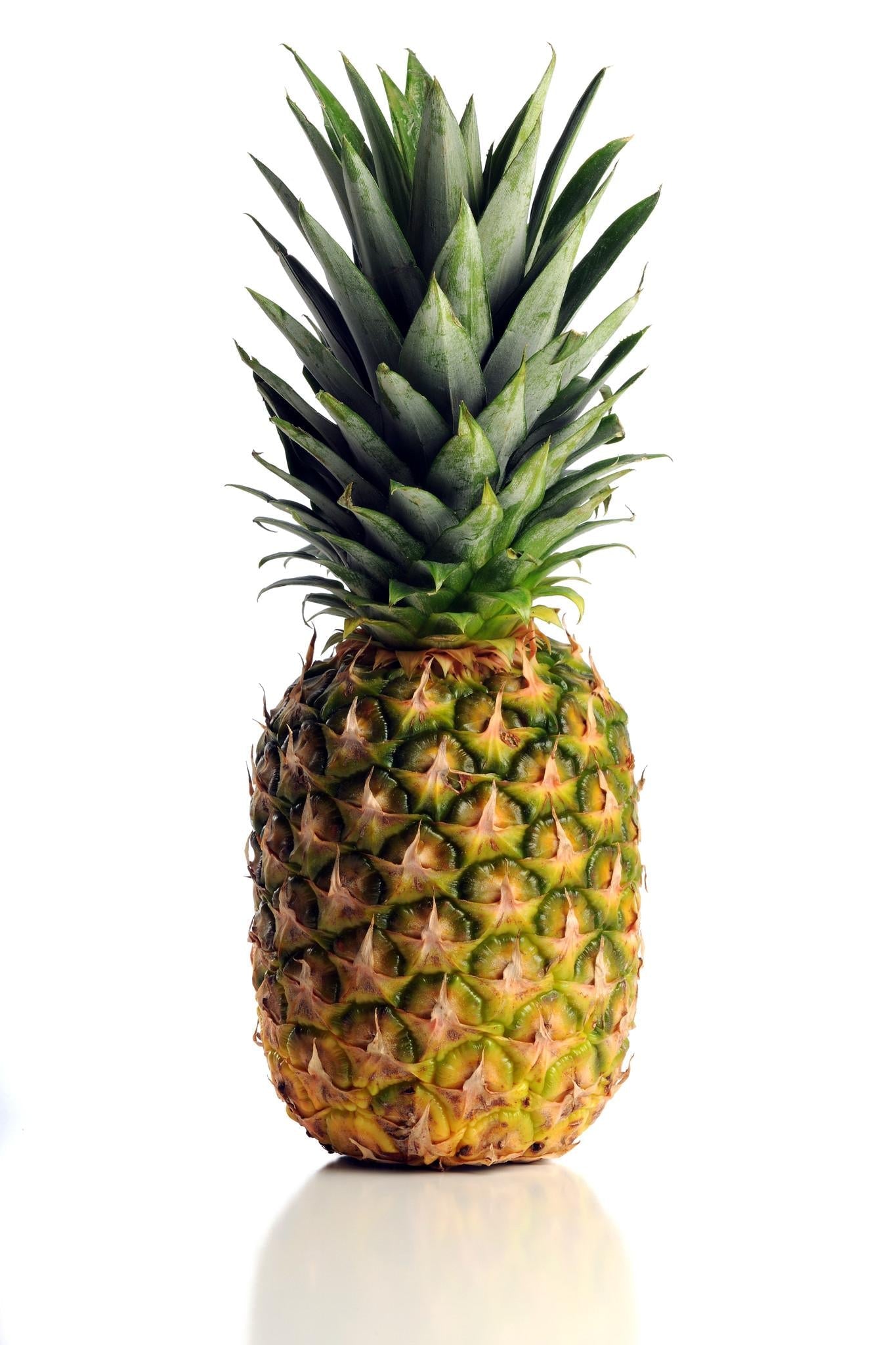 Pineapple - View 5 from www redcrocus com