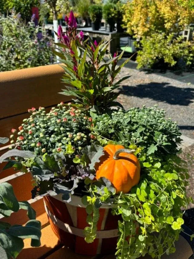 Fall Combo Planter Bushel Basket - View 12 from www redcrocus com